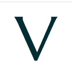 Voyage AI логотип